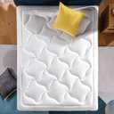 Zinus AZ-CMM-800F Cloud Memory Foam 8 InchMattress / Pressure Relieving Design /Mattress-in-a-Box / OEKO-TEX and CertiPUR-US Certified, Full