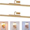 Art Light for Wall Picture, 6000mAh Rechargeable Wireless Wall Sconce,Battery Operated Remote Dimmable Lighting for Hallway Sconce(24 in, Antique Gold)