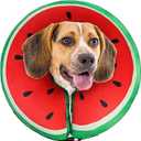 SCENEREAL Dog Cone Alternative After Surgery Donut Collar, Soft Pet Recovery Pillow Collar for Dogs, Inflatable Adjustable Neck Collars to Prevent Licking, Watermelon L
