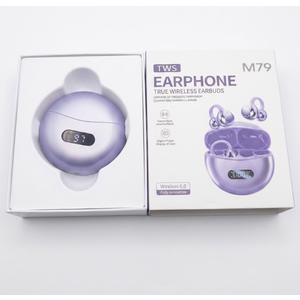 BNIB ANSTEN TWS EARPHONE TRUE WIRELESS 5.49 EARBUDS