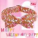 Lionheart Glory Valentine's Day Dog Collar With Bowtie for Large Dogs - Hearts Bear Spring Pink Pet Collar Bows (Large (Pack of 1)