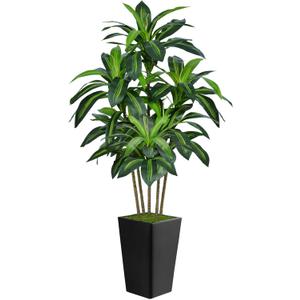 6FT Artificial Dracaena Tree, Fake Tree Indoor with Black Tall Planter, Tall Artificial Plants Indoor, Artificial Silk Tree for Home Office Decor, Housewarming Gift (Black)