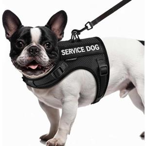 FAYOGOO Service Dog Vest for Small Dogs - Air Mesh Breathble Emotional Support Animal Vest with DIY Removable Patches - Puppy Harness and Leash Set Adjustable Neck and Chest (XS, Black)