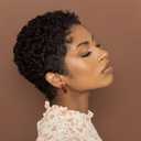 Pixie Cut Human Hair Wig for Black Women Short Layered Afro Curly Style Human Hair Glueless Full Machine Made Wig Lightweight and Breathable Wear and go Wig (Black)