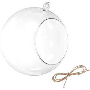 PATIKIL Round Globe Terrarium Air Plant Planter, 6.3 Inch High Borosilicate Glass Hanging Decorations for Succulent, Tillandsia, Clear
