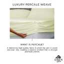 Linen Home 100% Cotton Percale Weave Fitted Sheet, Queen Size, Cream, 1 Deep Pocket Fitted Sheet, Fits Mattress Upto 16" Crisp and Cool Strong Bed Linen, 60"X80"+15"