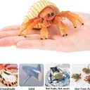 6PCS Hermit Crab Figurines Toys,Ocean Sea Animals Toys Figures, Realistic Soft Sea Creatures Toys for Kids Boys Girls,Birthday Gifts Cake Toppers Decoration for Toddlers Boys Girls