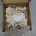 24PCS Sea Shells for Crafts Decoration - Real White Natural 2"-5" Scallop Shells and Starfish Coastal Christmas Craft Supplies, Beach Party, Painting, Easter DIY, Vase,Baking Shells, Birthday Gift