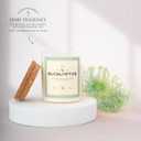 MONDAY MOOSE Scented Candle, 12.6oz All-Natural Soy Wax Cotton Wick Candle Glass Jar and Cork Lid with Essential Oils (Eucalyptus)