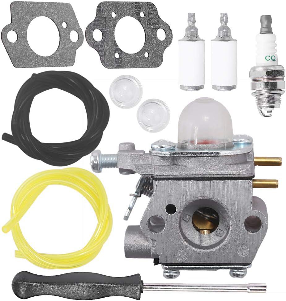 Anxingo WT-973 Carburetor for MTD Remington RM2510 RM2520 RM2560 RM2570 RM2599 RM2750 RM4625 Murray M2500 M2510 String Trimmer Brushcutter WT-973-1 WT-1116 753-06190 Carb