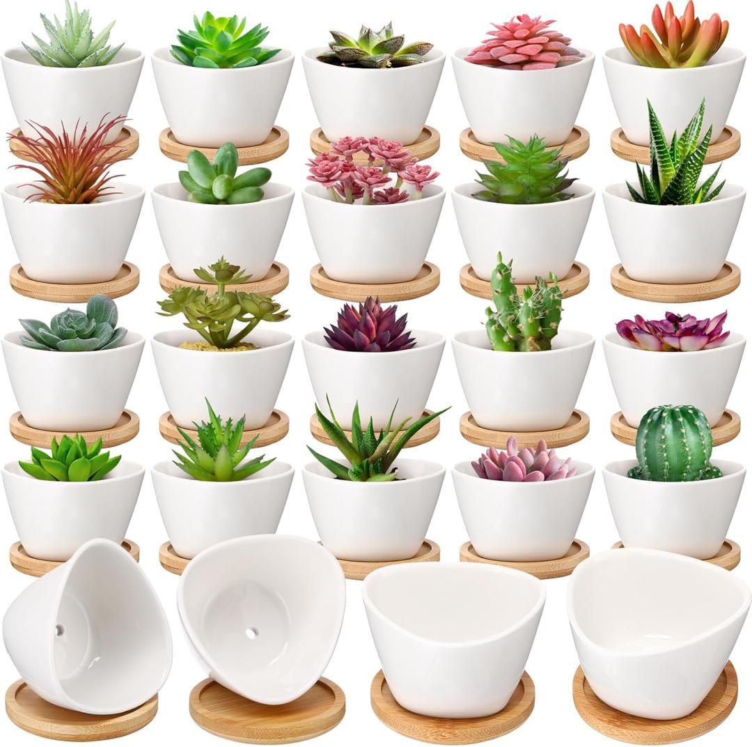 Domensi 24 Pack Succulent Planter Pots 3 Inch Small Plant Pots Mini Ceramic Succulent Planter Holder with Drainage Holes and Bamboo Saucers (White)