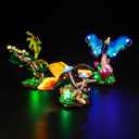 LED Light Kit for Lego The Insect Collection 21342 Ideas Bugs, Lighting Accessories Compatible with Lego Nature 21342 Butterfly Set (Lights Only, No Models)