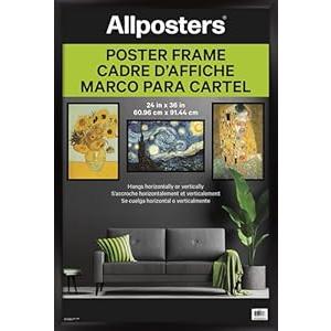 Trends International Allposters Collector's Edition Black Poster Frame (32" x 24")