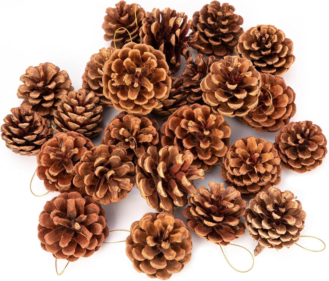 Lescli 24 Pcs Big Size Natural Pine Cones with Strings, 2"-3.5" Rustic Pinecones Bulk Christmas Hanging Ornaments for Xmas Tree Decoration, DIY Crafts, Holiday, Wedding, Party