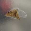 VIZ-PRO Large Magnetic Dry Erase White Board for Wall, 60 X 36 inches, Pack of 2, 5' x 3' Aluminum Framed Whiteboard with Marker Tray for School Office Home