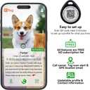 QR Code Smart Pet ID Tag for Cats Dogs - Waterproof Durable Pet Identity Tracking Accessory No Fees & Privacy Protection Personalized for Dogs and Cats (Black Pink red Blue, M)
