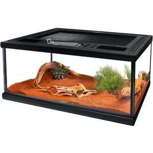 Reptile Glass Terrarium Tank 12"*8"*6",Small Cage Full View with Top Screen Ventilation Habitat Enclosure for Tarantula,Frog,Gecko,Insects,Spiders,Snakes,Hermit Crab,Turtle,Ball Python
