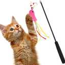 2 x Magnetic Cat Wand Toy Cat Retractable Wand Feather Chase and Exercise String Interactive Cat Toys