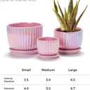 Ton Sin Pink Gold Ceramic Flower Pots, 4"+5"+6" Inch Small Glazed Succulent Planters with Drainage Hole,Modern Indoor Decorative Plant Pots Set of 3,Garden Pots with Saucer