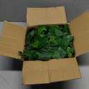 Palonu Artificial Hanging Plants for Shelf, 4 Pack Fake Potted Greenery Plant Faux Mandala Vine, String of Pearls, Ivy Vine,Persian Grass Fern in Pot for Desk Home Bathroom Farmhouse Room Table Decor