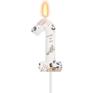 Wild Animal Number 1 Birthday Candle, Wild One Birthday Decorations