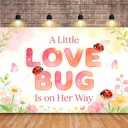 A Little Love Bug is On The Way Party Decorations Backdrop, 4 x 6 Ft Lady Bug Garden Theme Photo Background Banner, Cute Love Bug Baby Shower Decorations for Spring Summer Baby Shower Party