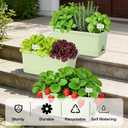 Oliz Window Box Planter 6 Packs, 13.8 Inches Rectangle Flower Pots with Drainage Holes & Trays, Pots for Vegetables, Herbs, Flowers, Garden Windowsill Balcony (Green)