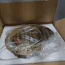 LMS Brushed Gold 3-Light Cluster Pendant Lights, Modern Dining Room Light Fixtures Over Table with Clear Globe Glass, Adjustable Hanging Cord Ceiling Light for Dining Room Kitchen Island, LMS-186BGC3