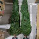 6FT Artificial Topiary Cedar Plants Outdoor, Faux Pine Trees UV Resistant and Potted, 72 Inch Tall Fake Shrubs Evergreen for Front Porch Decor Set of 2