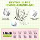 KEYYOU Fairy Venus Lash Clusters Manga Lash Extension C Curl 120Pcs Eyelash Extension Wispy Natural Invisible Band Lash with Waterproof DIY Lash Extension at Home(Venus-C-8-18MIX)