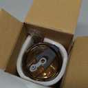 Olvini 15oz Glass Tumbler with Straw and Lid, Cute Iced Coffee Cups, Aesthetic Glass Cups, Coffee Tumbler, Water Cup, Matcha Cup, Drinking Glasses (Amber)