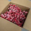 50 Pcs Holly Stems, 8.7" Snow Sprays Artificial Red Berry Stems, Holly Berry Picks for Christmas Tree Fillers Decor, Fake Red Berries for DIY Crafts Wreaths Garland Home Party Winter Decor