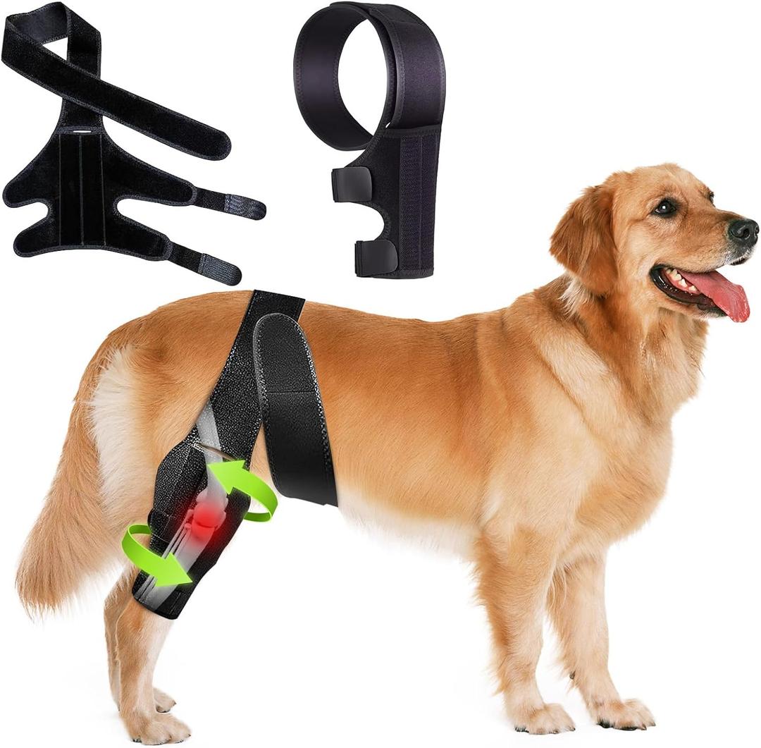 Dog Knee Brace for Torn ACL, Comfortable and Adjustable Neoprene Support for Front/Hind Legs for Hip Dysplasia & Arthritis, Universal Large to Small Dogs Knee Brace for Legs (M)