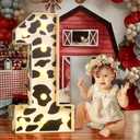 Marquee Numbers Cow 1st-Birthday Decorations: 3ft Large Light Up Numbers Holy Cow Party Decor Boy Girl First One Big Cardboard Number 1