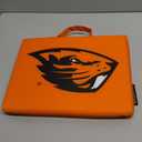 Logo Brands Officially Licensed NCAA Unisex Bleacher Cushion, One Size, Team Color (14" x 14" x 1")