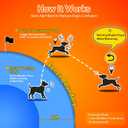 Meowant GPS Wireless Dog Fence & Dog Training Collar with Remote & Free APP, 82-7000ft Adjustable Range Electric Fence, 3 Training Modes, Waterproof LCD Collar for Dogs 10 Lbs+ Outdoor,Blue