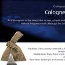 Thoqy Natural Fragrance Sachets  Aromatherapy Air Freshener for Closet, Car & Home | Gift for Her | Long-Lasting Scented Bags for Fresh Living Spaces