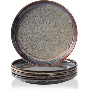 Ceramic dinner plates set of 4, Large Dinnerware Plates & Salad plates for party and wedding, Microwave safe porcelain plates set, 10 Inch 