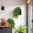 Hollyone 2pcs Artificial Hanging Plants 24" Fake Ivy Vine Faux Ivy Leaves Hanging Plant Greenery for Wall House Room Patio Indoor Outdoor Home Shelf Office Wedding Decor