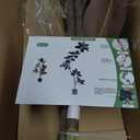 6ft Artificial Rubber Tree Faux Plants Indoor Faux Floor Artificial Trees Indoor,Fake Plant Fake Tropical Plants,Large Floor,Real Touch Rubber Tree for Home Decor (Purple)