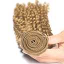 Color #27 Kinky Curly Bundles Honey Blonde Kinky Curly Human Hair 3 Bundle 28 30 32 Inch Unprocessed Brazilian Virgin Remy Hair Weave Double Weft Blonde Hair Soft & Silky & Full 300g