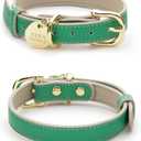 Rio Vegan Leather Dog Collar - Padded Luxury Dog Collar with Adjustable Buckle - Collar for Dogs, Dog Collar for Small Dogs to Dog Collar for Large Dogs - Color Green (Extra Small) (XS: 9 - 12" Neck)