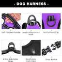 PHOEPET No Pull Dog Harnesses for Small Dogs Reflective Adjustable Front Clip Vest with Handle 2 Metal Rings 3 Buckles [Easy to Put on & Take Off](XS, Purple)