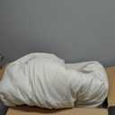 Bedsure Oversized Queen Comforter Set - Beige Soft Bedding for All Seasons, Cationic Dyed Bed Set, 3 Pieces, 1 Oversized Queen Size Comforter (98"x98") and 2 Pillow Shams (20"x26"+2")