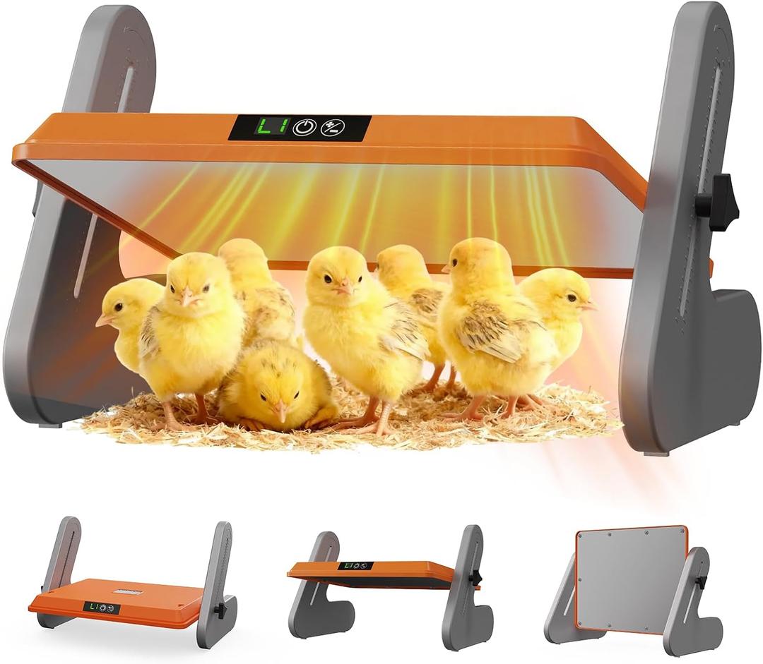 Ficuswin Brooder Heater for 20 Chicks, Chicken Heating Brooder Plate with 3 Adjustable Temp Settings, Safe Coop Heater for Poultry Cage Warmer, 16"x10" Energy Efficient Radiant Heat Pad(ETL Compliant)