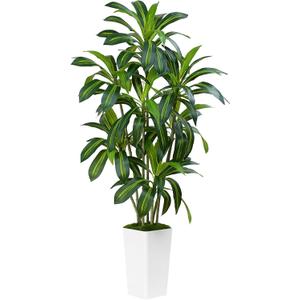 Dracaena Plant Artificial Tree 6Ft Tall Fake Tropical Floor Plants Potted (Real Touch) Artificial Silk Tree Leaf Faux Trees White Tall Planter for Home Office Living Room Indoor Outdoor Decor