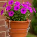 Curtis Wagner Plastics Hanging Basket Drip Pan, Clear, 12 Inch