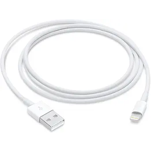Apple Lightning to USB Cable (1 m)