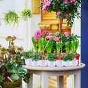Roshtia 24 Pcs Hanging Plastic Planter Pot with Hook Flower Pots Baskets Hanging Nursery Planter Holder for Outdoor Indoor Plant Garden(Ceramic White,3.7 Inch)