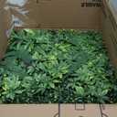 Artificial Grass Wall Panels 20x20 (6pcs) - UV Protected Privacy Fence Screen, Hedge Green Wall Decor BackdropRealistic Fake Grass Backdrop for Indoor Weddings & Outdoor Gardens (Lavender)